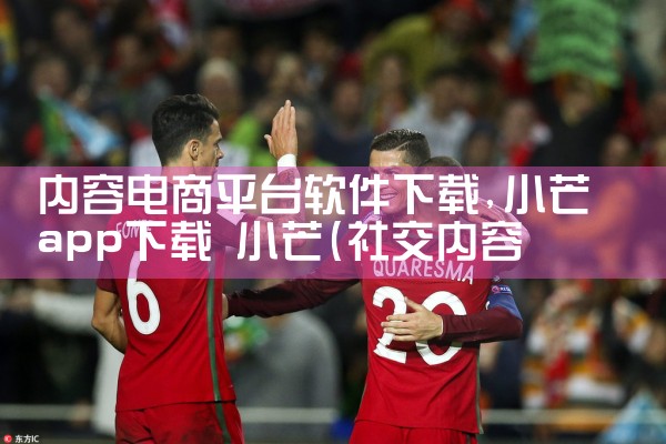 内容电商平台软件下载|telegram desktop中文