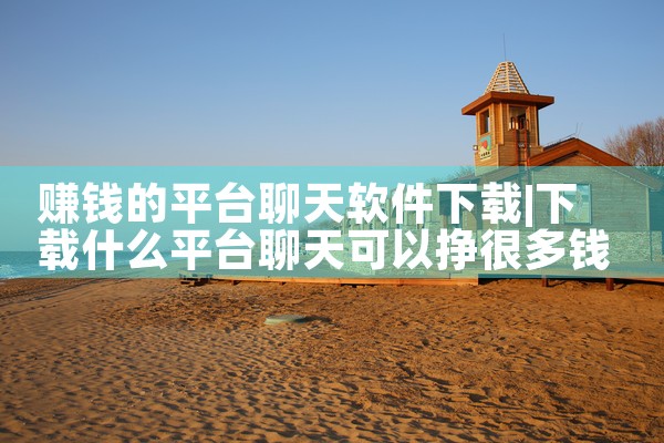 赚钱的平台聊天软件下载|telegram desktop中文