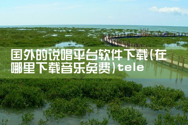 国外的说唱平台软件下载|telegram desktop中文