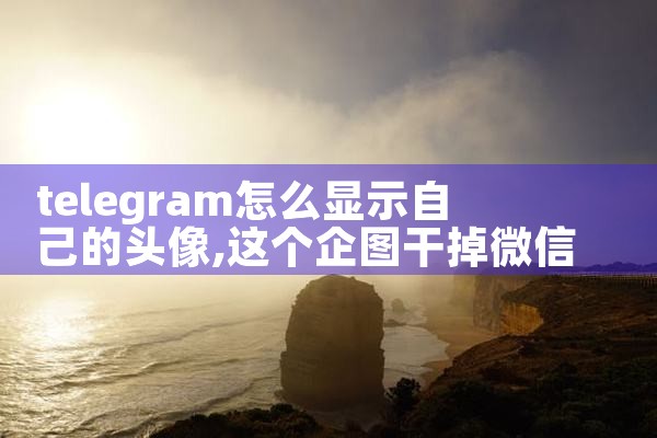 telegram怎么显示自己的头像