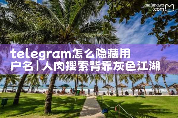 telegram怎么隐藏用户名