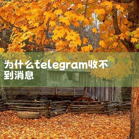 孙建国表示，默认关闭国际及港澳台短信接收功能并依申请免费开通，并非中断此类业务，任何用户都有选择接收与不接收的权利。业内专家表示，随着通讯新技术发展，传统的语音及短信业务很大程度上已经被网络应用工具如