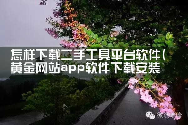 怎样下载二手工具平台软件|telegram官网下载，纸飞机下载