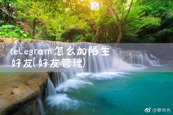 telegram怎么加陌生好友
