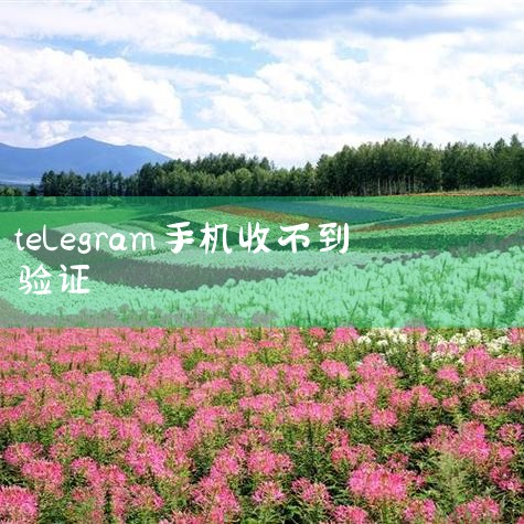 什么什么?又收不到短信验证码,登不上账户了?一文带,手机有时接收不到短信验证码是怎么回事_凤凰网,速查你的社交软件!已有市民上当!,多个省市默认关闭国际电话接听