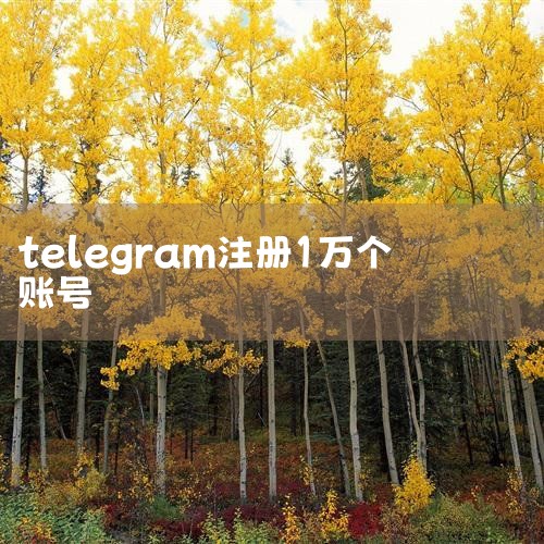 匿名聊天软件 真的“自由且安全”吗,消息应用Telegram推内容发布平台 无需账号即,消息应用Telegram推内容发布平台 无需账号即,注册账号问题,三千余