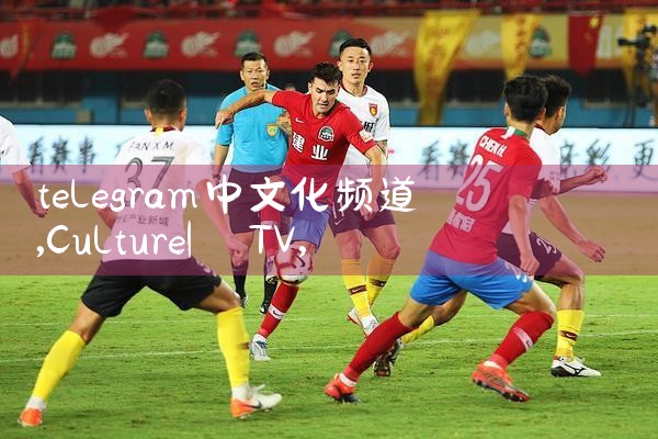 telegram中文化频道