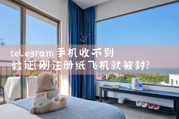 telegram手机收不到验证