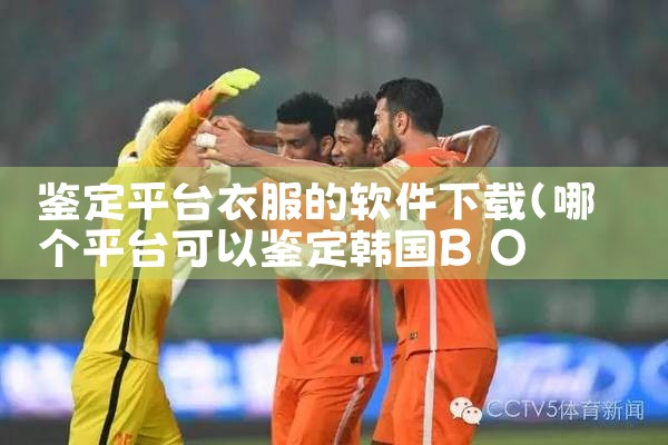 鉴定平台衣服的软件下载|纸飞机下载