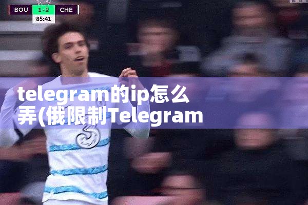 telegram的ip怎么弄