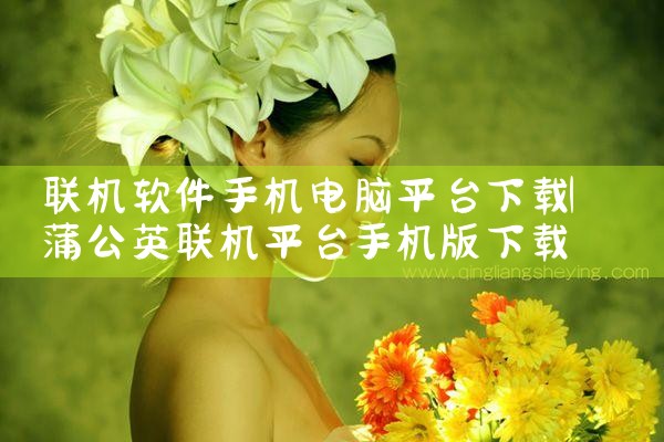 联机软件手机电脑平台下载