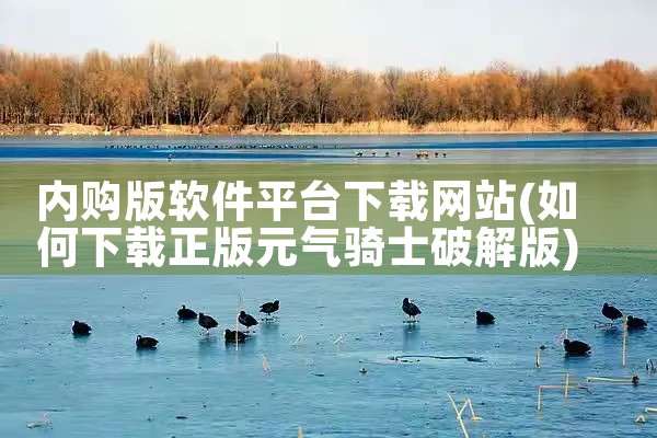 内购版软件平台下载网站