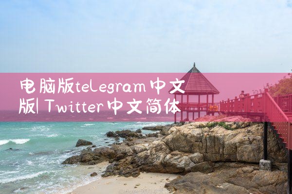电脑版telegram中文版