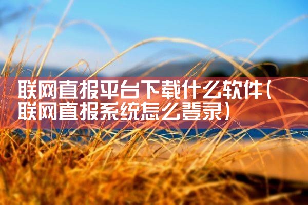 联网直报平台下载什么软件