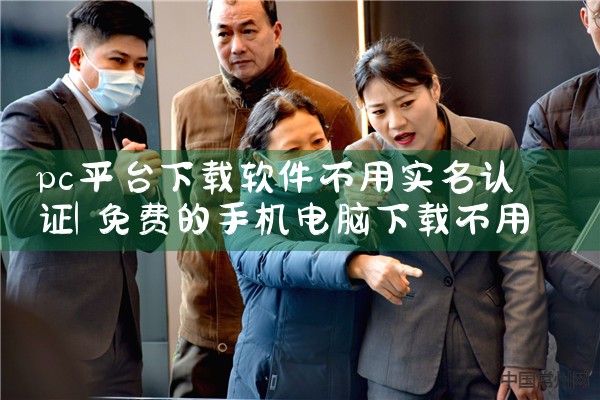 pc平台下载软件不用实名认证