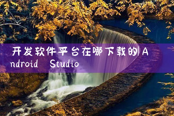 开发软件平台在哪下载的