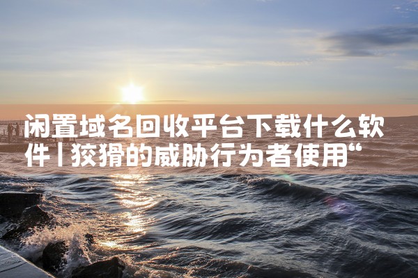 闲置域名回收平台下载什么软件