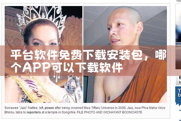 平台软件免费下载安装包