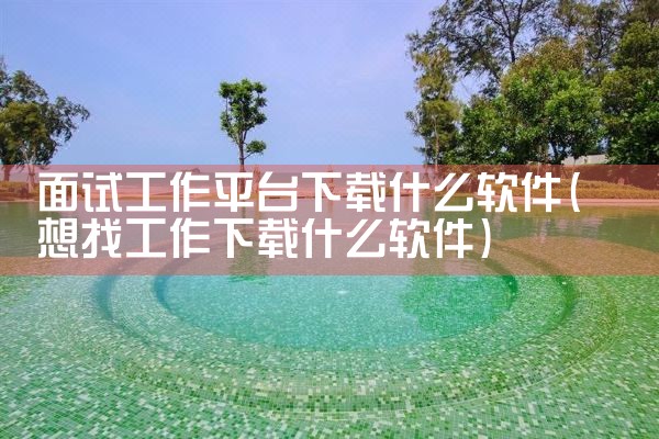 面试工作平台下载什么软件