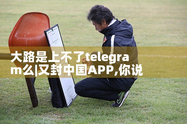 大路是上不了telegram么
