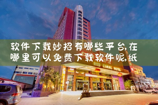 软件下载妙招有哪些平台|纸飞机下载