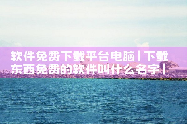 软件免费下载平台电脑|纸飞机下载