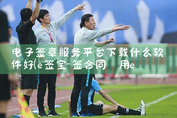 电子签章服务平台下载什么软件好|telegram官网下载,纸飞机下载