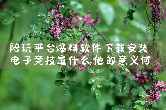 陪玩平台爆料软件下载安装|telegram官网下载,纸飞机下载