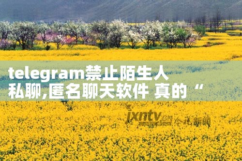 telegram禁止陌生人私聊|苹果telegram