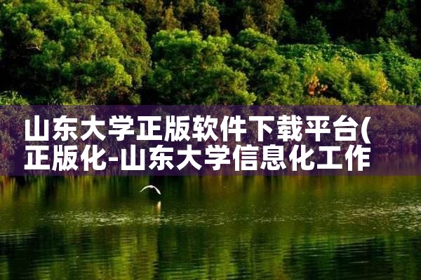 山东大学正版软件下载平台|telegram官网下载,纸飞机下载