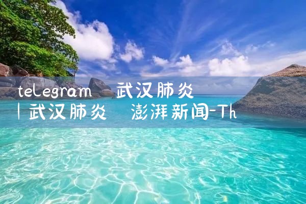 telegram 武汉肺炎