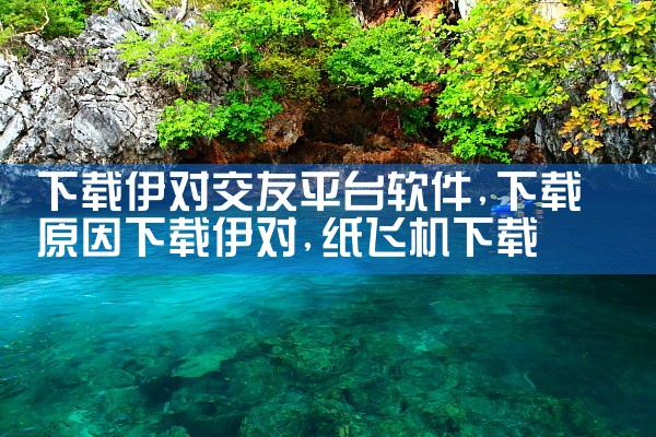 下载伊对交友平台软件|纸飞机下载