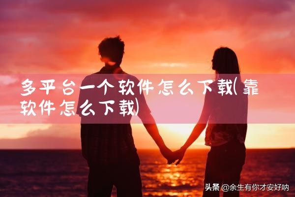 多平台一个软件怎么下载