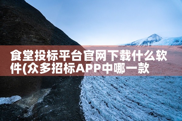 食堂投标平台官网下载什么软件