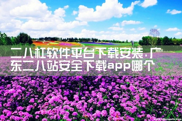 二八杠软件平台下载安装