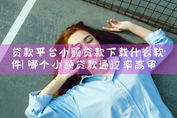 贷款平台小额贷款下载什么软件
