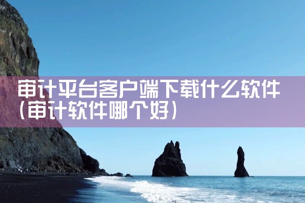 审计平台客户端下载什么软件