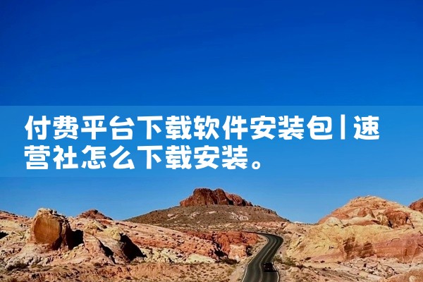 付费平台下载软件安装包