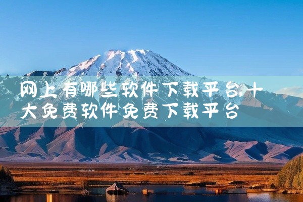 网上有哪些软件下载平台