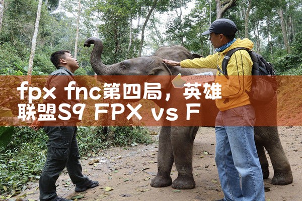 fpx fnc第四局|Telegram纸飞机下载