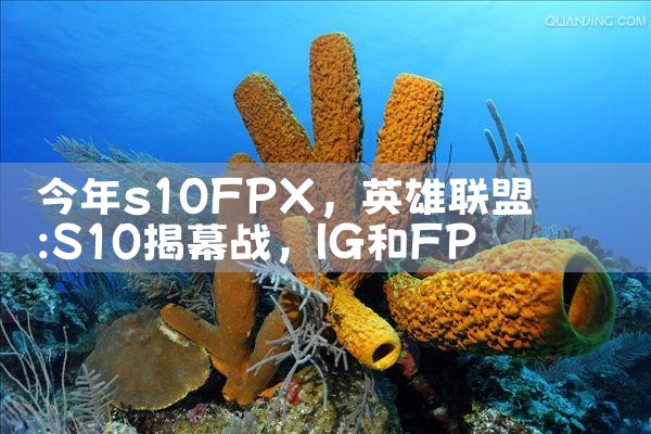 今年s10FPX|Telegram纸飞机下载