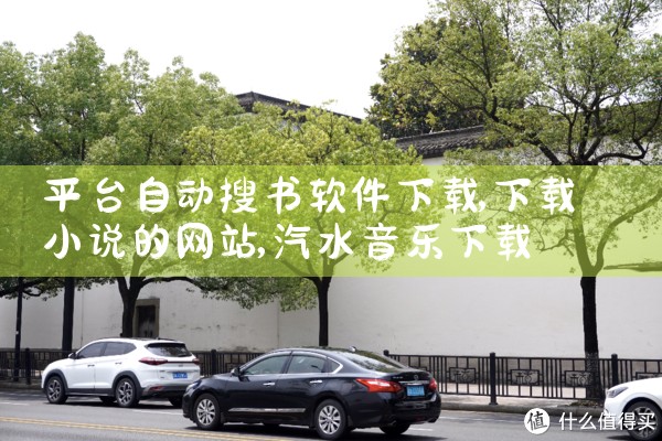 平台自动搜书软件下载|汽水音乐下载