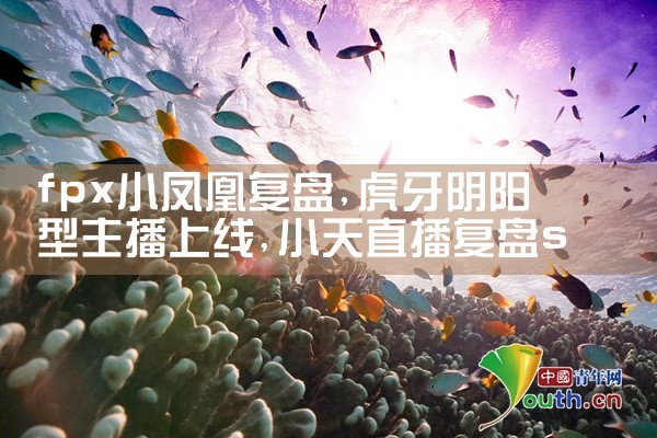 fpx小凤凰复盘|Telegram纸飞机下载