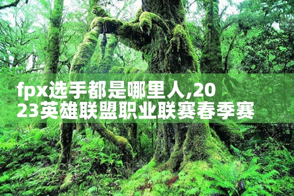 fpx选手都是哪里人|Telegram纸飞机下载