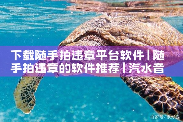 下载随手拍违章平台软件|汽水音乐下载