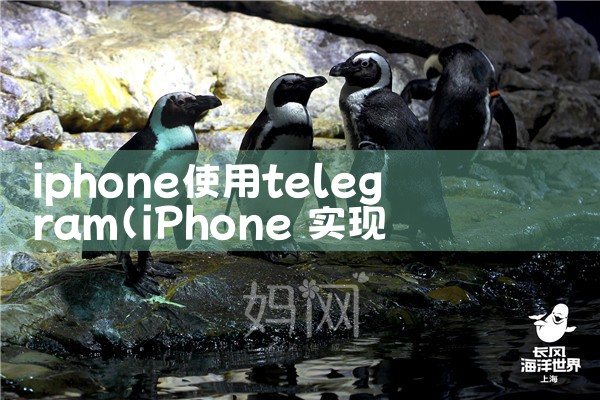 下载剪辑平台有哪些软件|汽水音乐下载