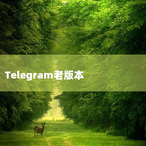 World Insights: Research |莹观天下|漩涡中的杜罗夫:拥有多国国籍,宣称“电报|下载量突破10亿:通信软件Telegram跻身超级|人民