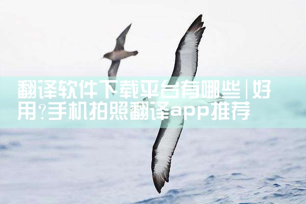 翻译软件下载平台有哪些|汽水音乐下载