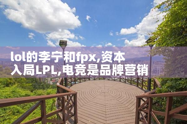 lol的李宁和fpx|Telegram纸飞机下载