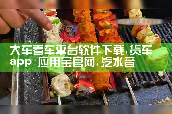 大车看车平台软件下载|汽水音乐下载